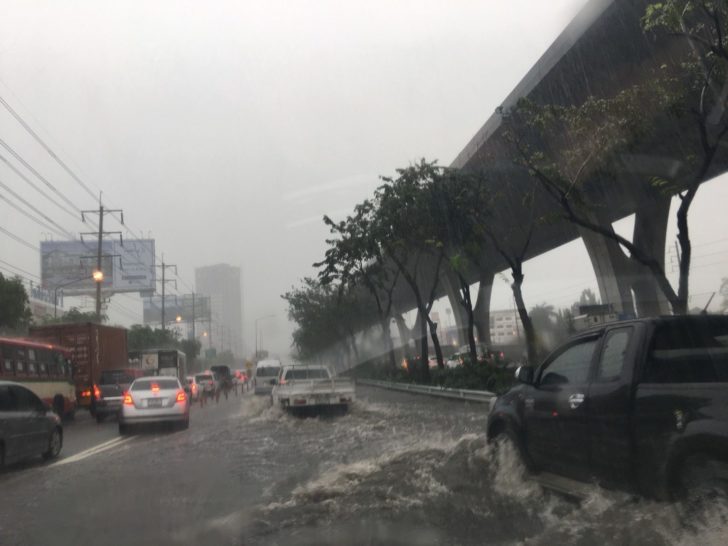 ฝนตก (7)
