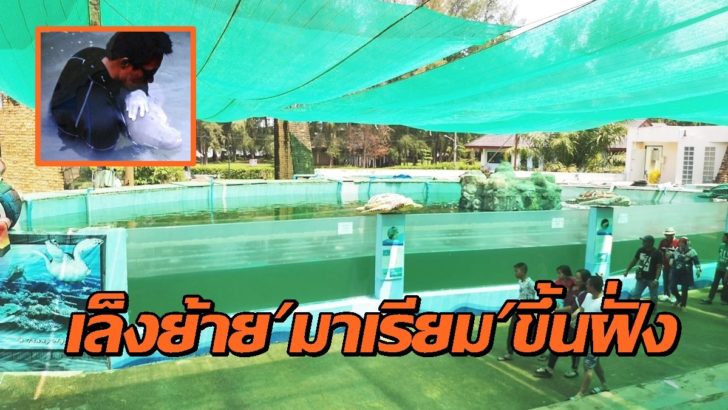 มาเรียม