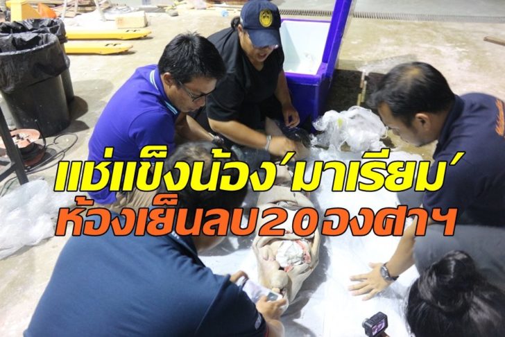 มาเรียม0