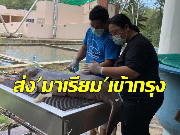 มาเรียม1