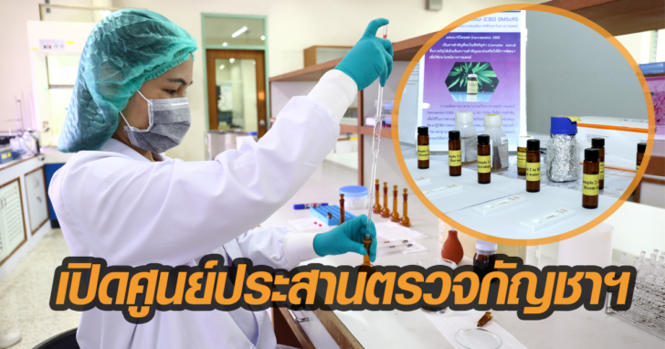 ศูนย์กัญชา