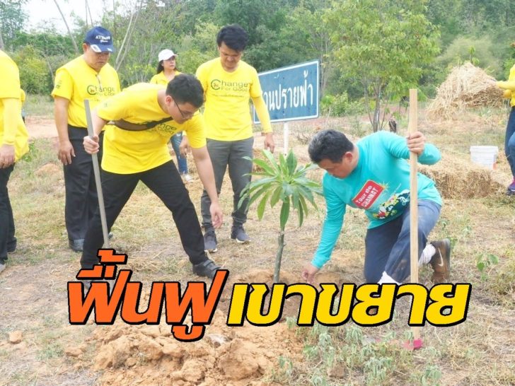 อธิบดี สถ.ปลูกต้นไม้