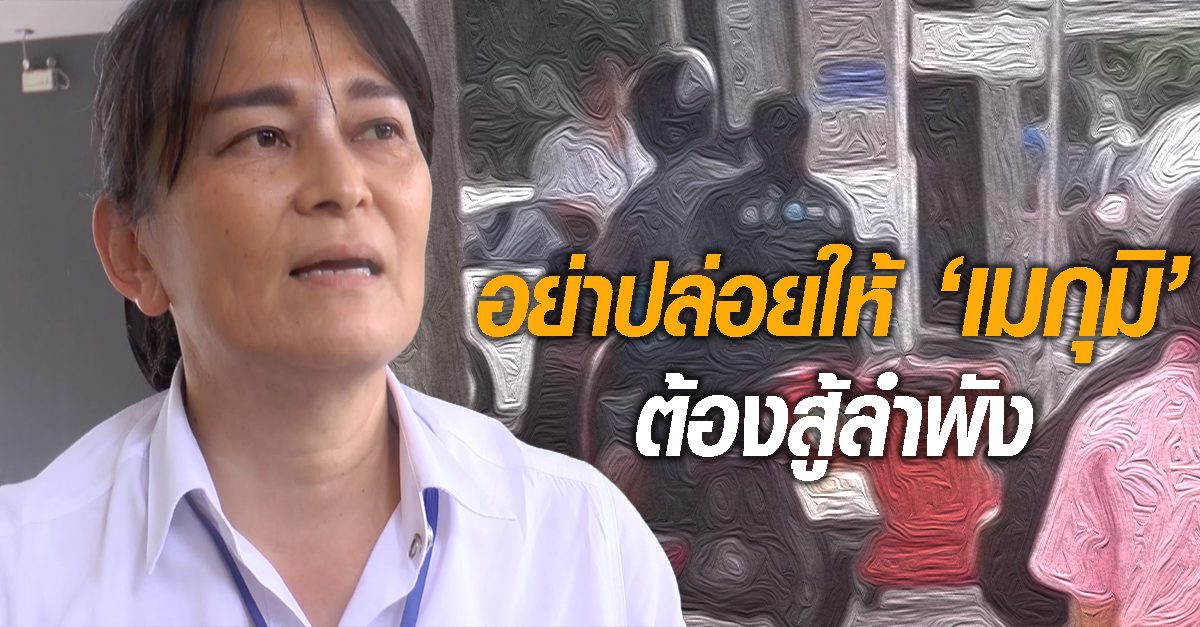เมกุมิ