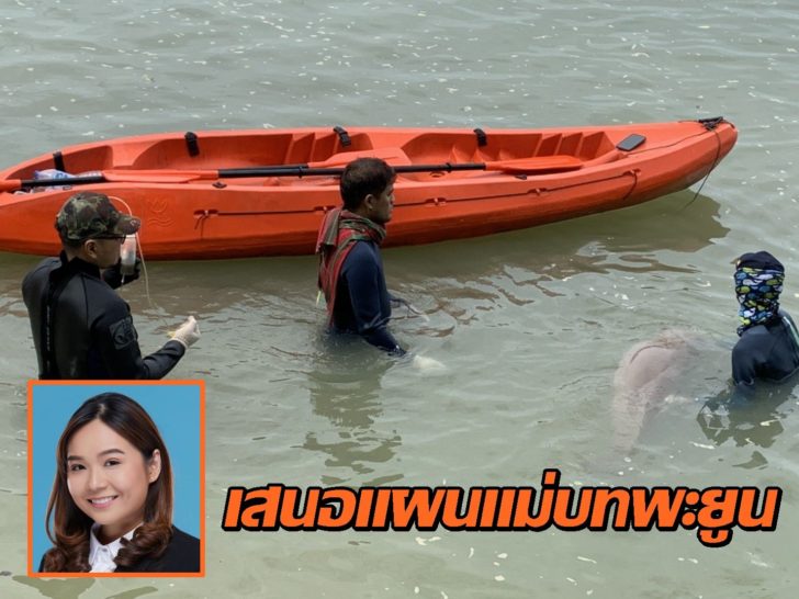แม่ส้ม2