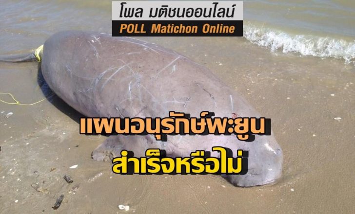 โพลพะยูน