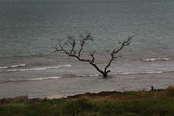 Vulnerable Florida Keys See Increased Flooding With Seasonal King Tides