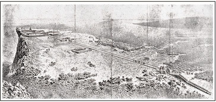 YM83