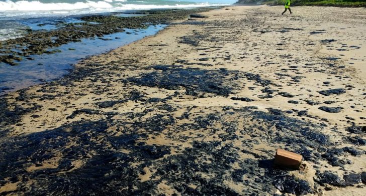 BRAZIL-ENVIRONMENT-OIL-SPILL