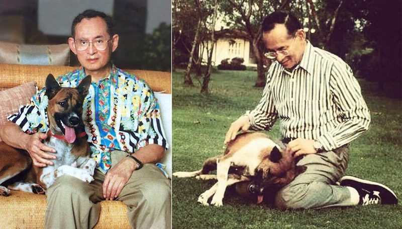 คุณทองแดง