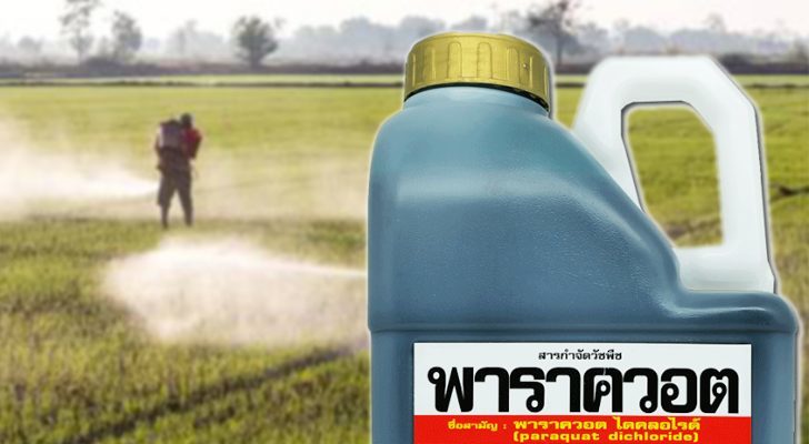 ภป-ในน้ำมีปลา