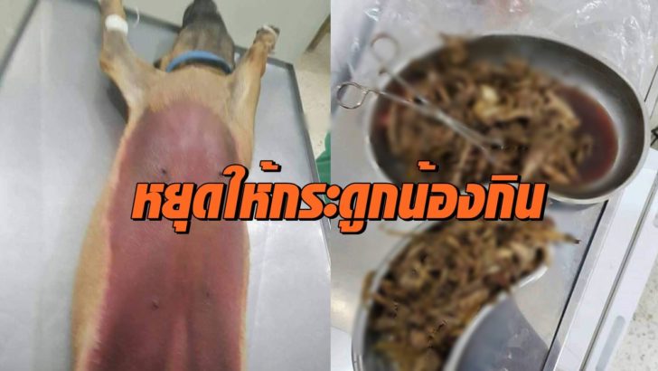 ภาพนำ ผยุดให้กระดูกน้อง