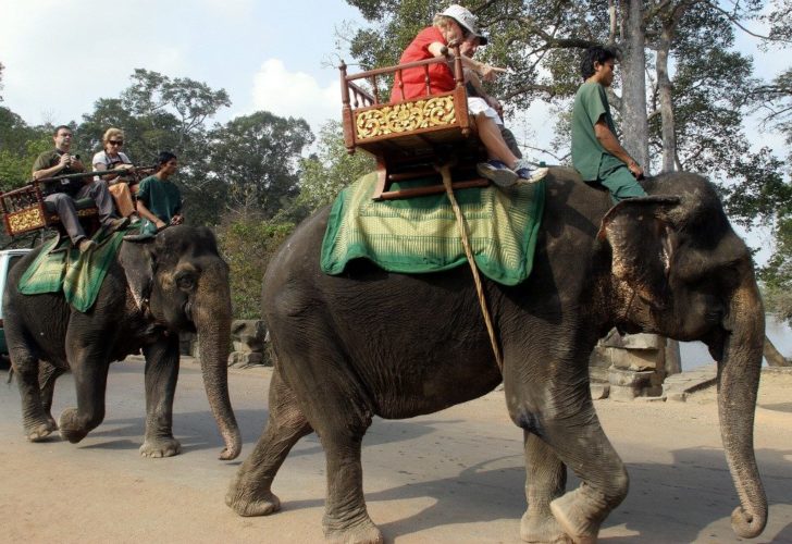 FILES-CAMBODIA-ANIMAL-TOURISM-ELEPHANT