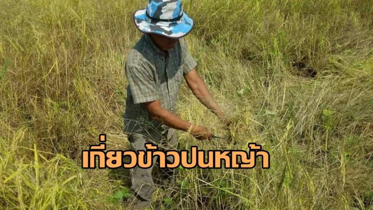 1870ใช้