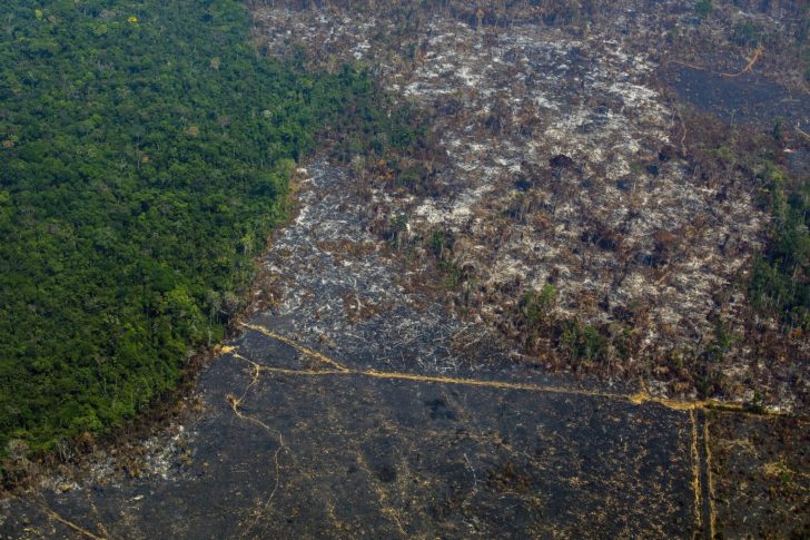 FILES-BRAZIL-DEFORESTATION