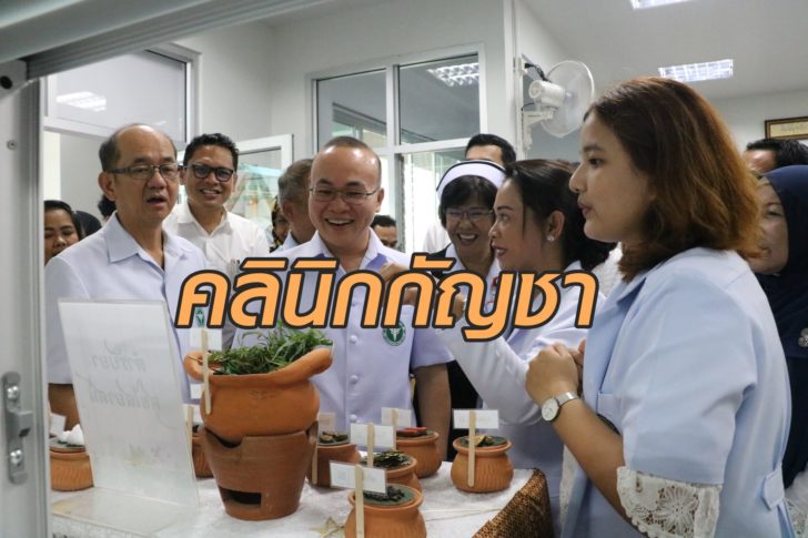 คลินิกกัญชา1