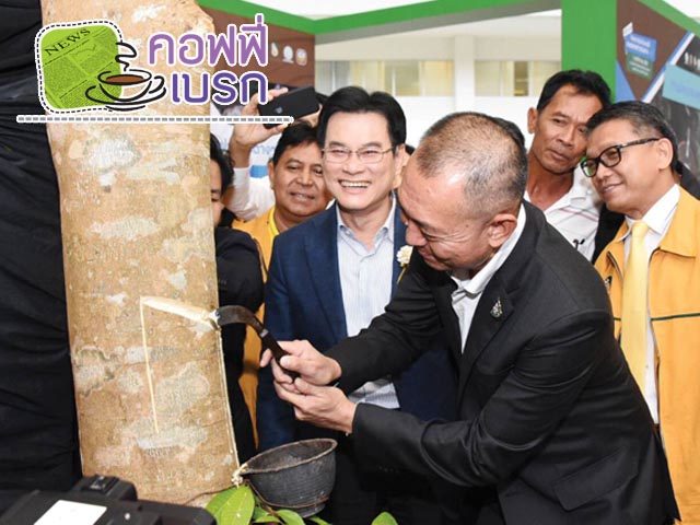 คอฟฟี่เบรก วันที่ 2 พฤศจิกายน 2562 : กรีดยาง