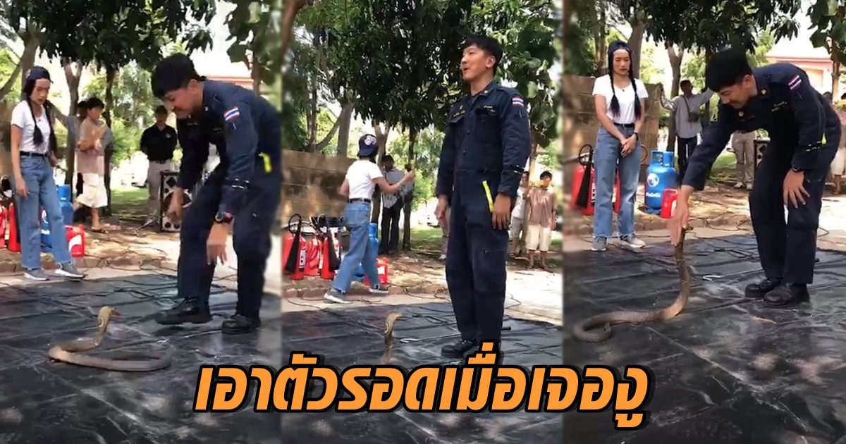 วิธีเอาตัวรอดเมื่อเจองู
