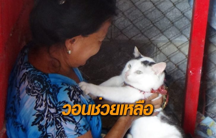 ช่วย