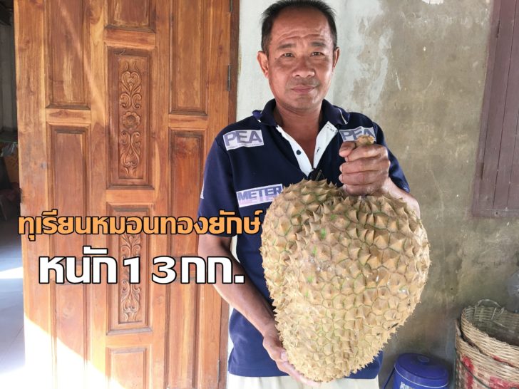 ทเรยนยกษ2ใช้ๆๆ