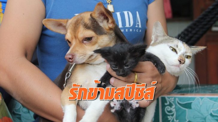 รักข้ามสปีชี