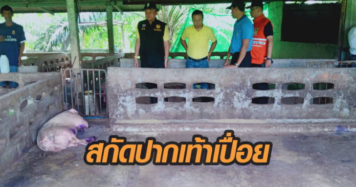 สกัดปากเท้าเปื่อย
