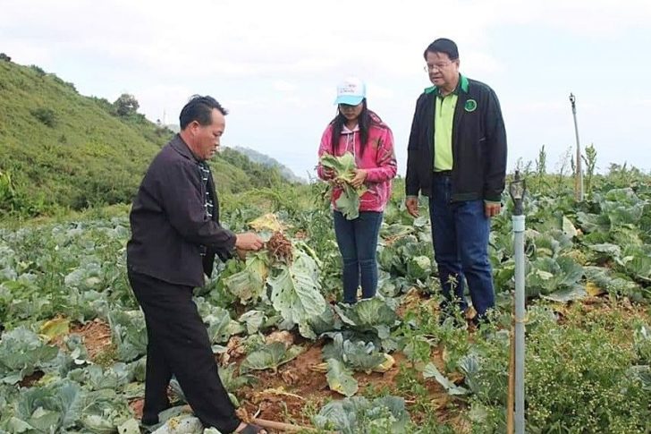 เพชรบูรณ์2