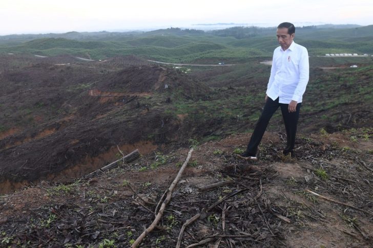 Indonesian President Joko Widodo walks as he inspects an area, planned to be the location of Indonesia's new capital, at Sepaku district in North Penajam Paser regency