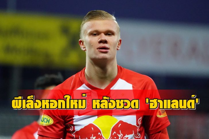 FC Flyeralarm Admira v FC Red Bull Salzburg - tipico Bundesliga