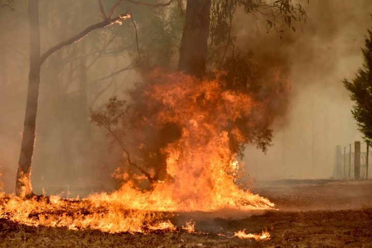 AUSTRALIA-FIRE-CLIMATE-HEALTH-ENVIRONMENT