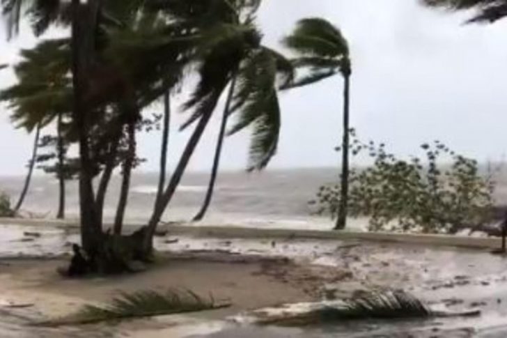 nz_cyclone_281261