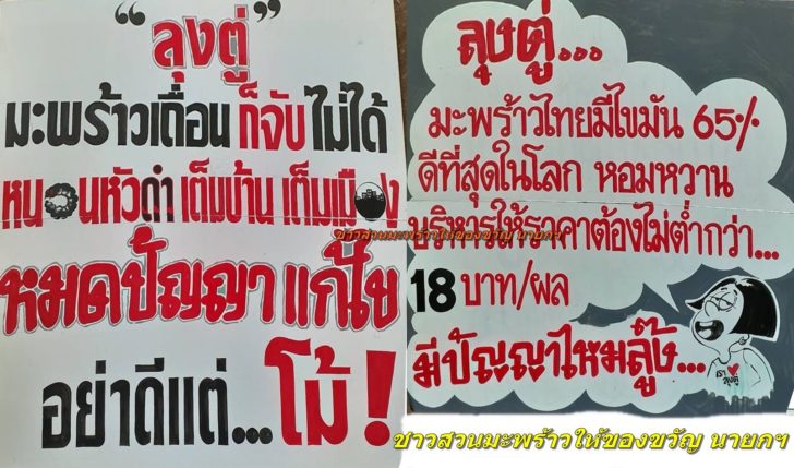 ของขวัญตู่ 3