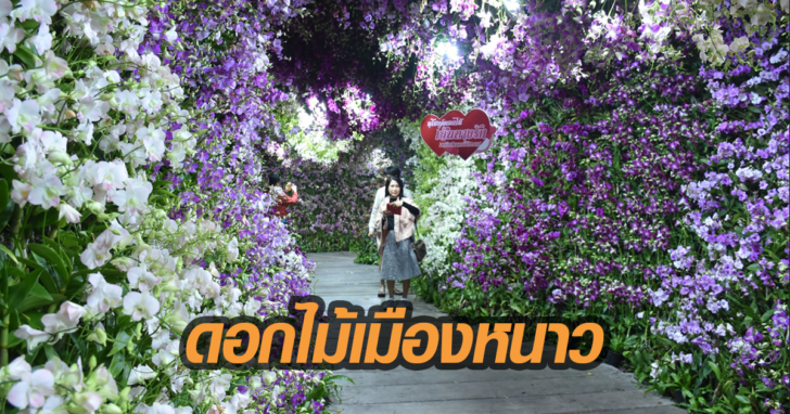 ดอกไม้เมืองหนาว