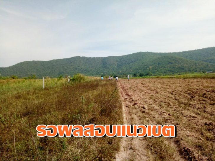 นักการเมืองยึดที่ลุง4