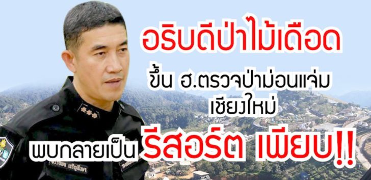 ปกอธิบดีป่าไม้