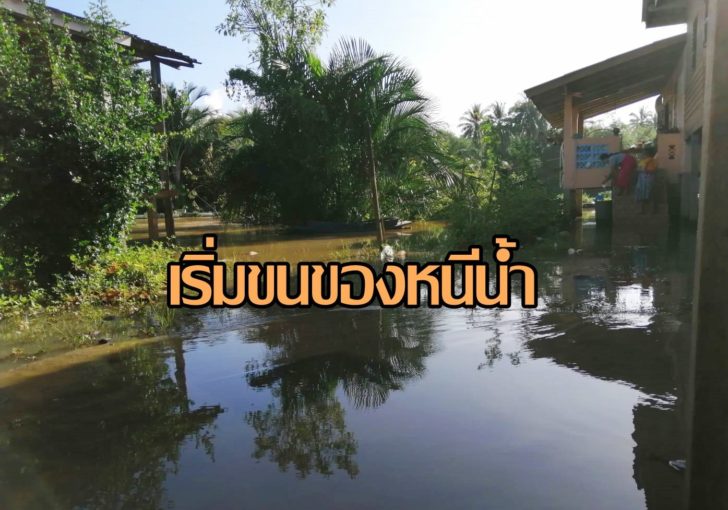 ปัตตานี
