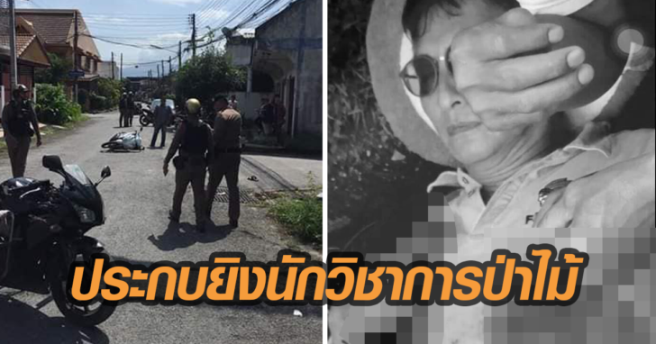 ป่าไม้
