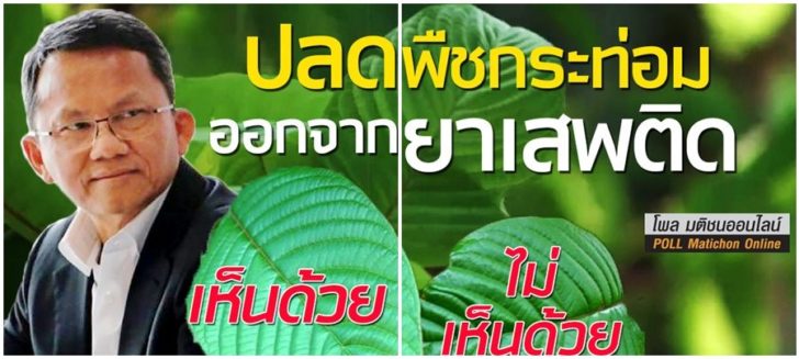 พืชกระท่อม