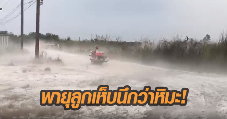 ลูกเห็บ