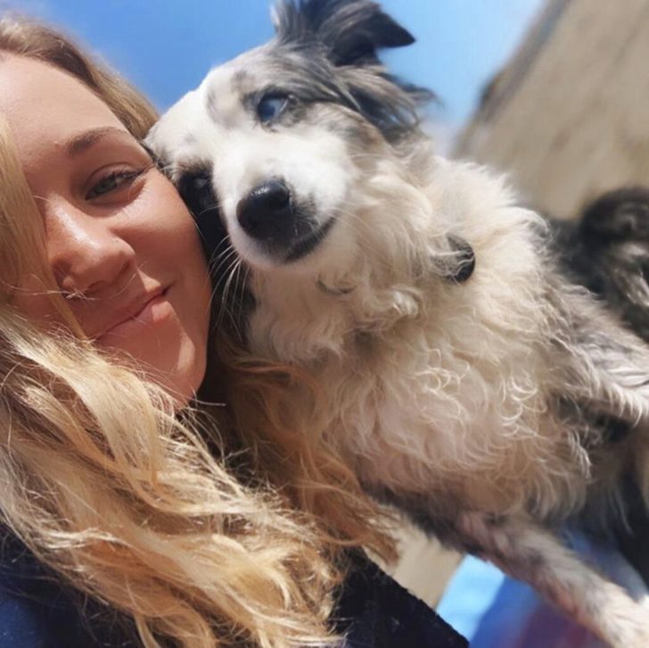 Stolen Dog-Campaign