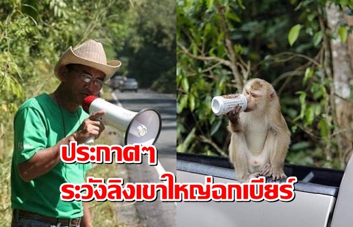 เขาใหญ่6