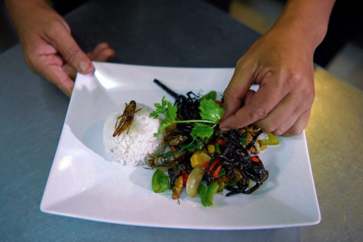 CAMBODIA-FOOD-BUGS-LIFESTYLE
