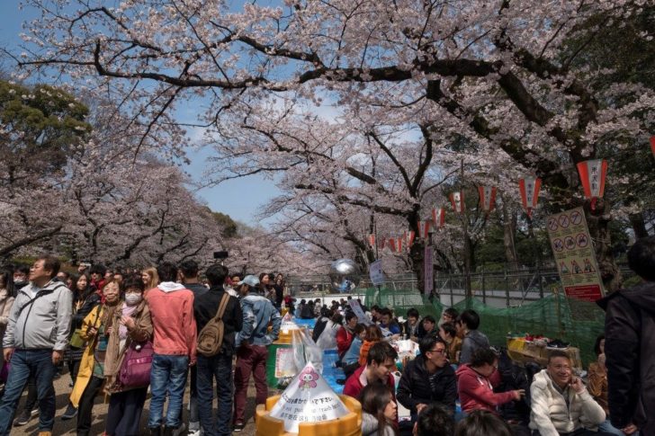 FILES-JAPAN-HEALTH-VIRUS-CHERRY
