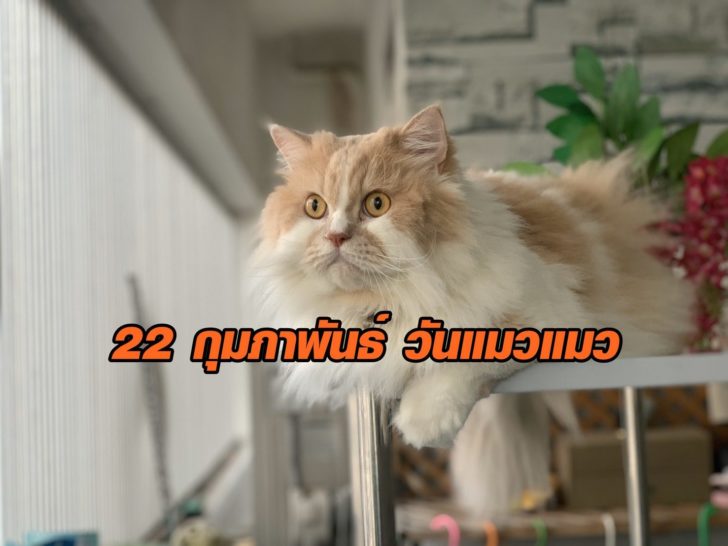 222