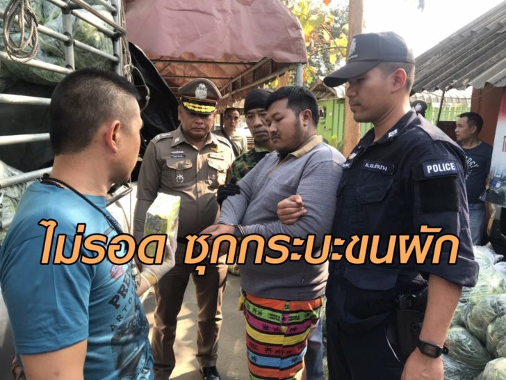 S__17539229