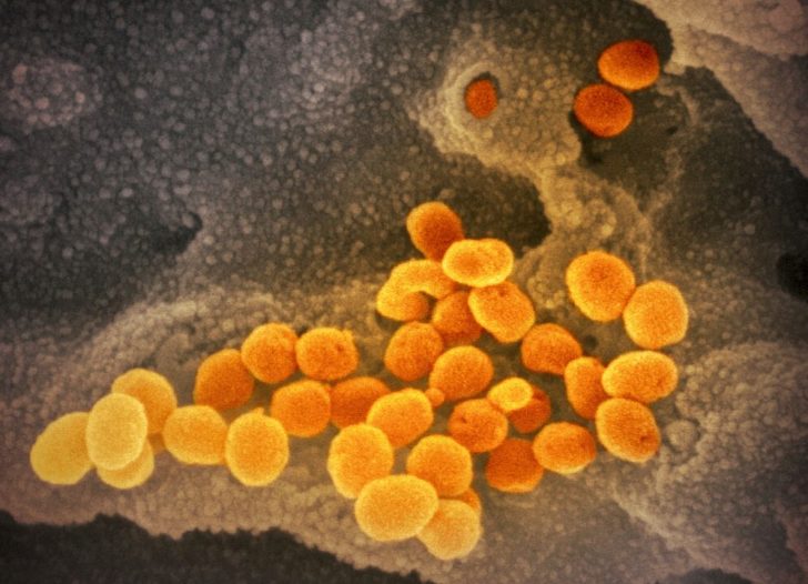 Coronavirus Outbreak