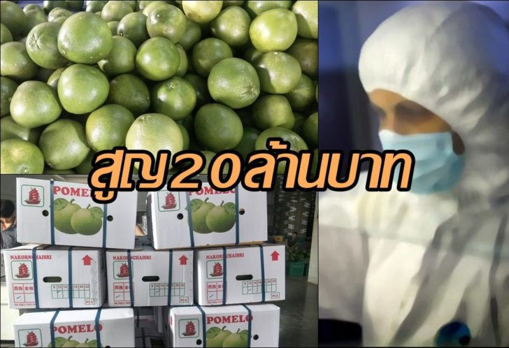ส้มโอ.4