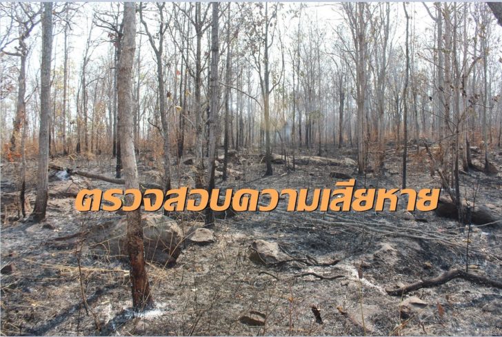 เขาคอกช้าง-