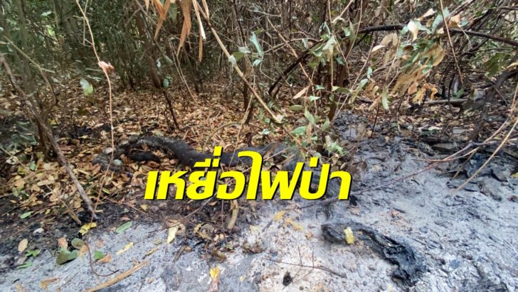 เหยื่อไฟป่า