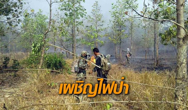 ไฟป่า