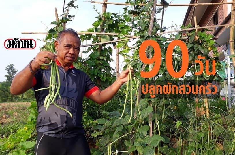 จากเมล็ดพันธุ์ สู่จานข้าว 90 วันแห่งปฏิบัติการปลูก 'ผักสวนครัว' สร้างความมั่นคงทางอาหาร จากเมล็ดพันธุ์ สู่จานข้าว 90 วันแห่งปฏิบัติการปลูก 'ผักสวนครัว' สร้างความมั่นคงทางอาหาร
